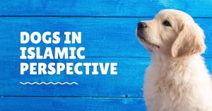 Dogs in Islamic Perspective